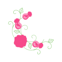 Garden Roses Flowers