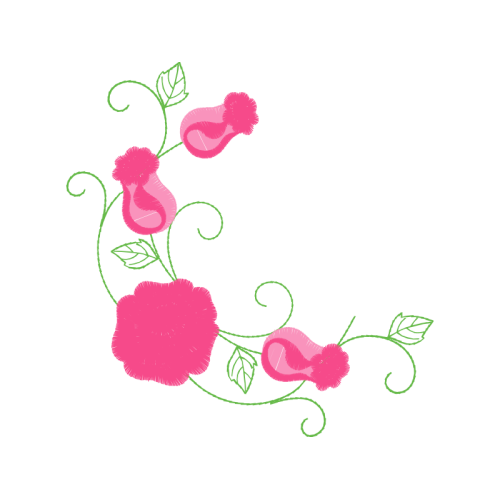 Garden Roses Flowers Garden Roses Flowers