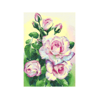 Garden Roses Flowers