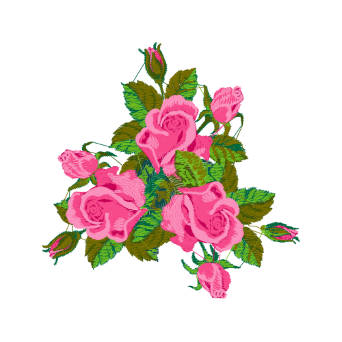 Garden Roses Flowers Garden Roses Flowers