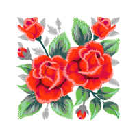 Garden Roses Flowers