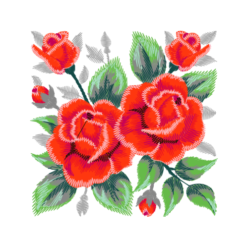 Garden Roses Flowers Garden Roses Flowers