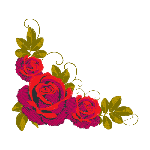 Garden Roses Flowers Garden Roses Flowers