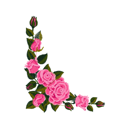 Garden Roses Flowers Garden Roses Flowers