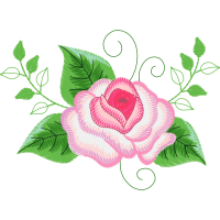 Garden Roses Flowers Garden Roses Flowers