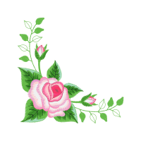 Garden Roses Flowers Garden Roses Flowers