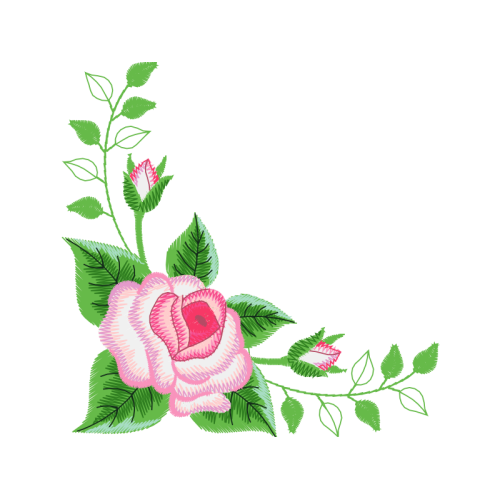 Garden Roses Flowers Garden Roses Flowers