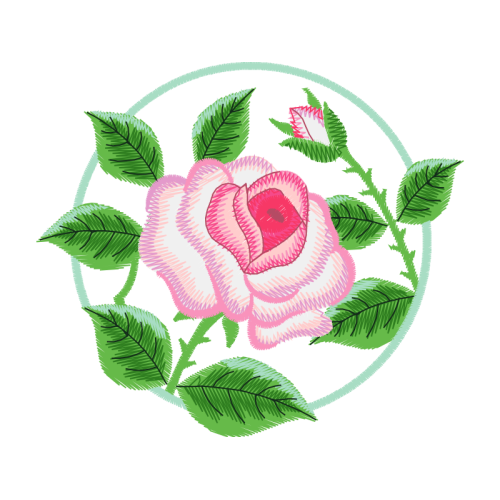 Garden Roses Flowers Garden Roses Flowers