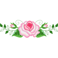 Garden Roses Flowers Garden Roses Flowers