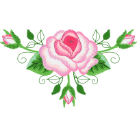 Garden Roses Flowers Garden Roses Flowers