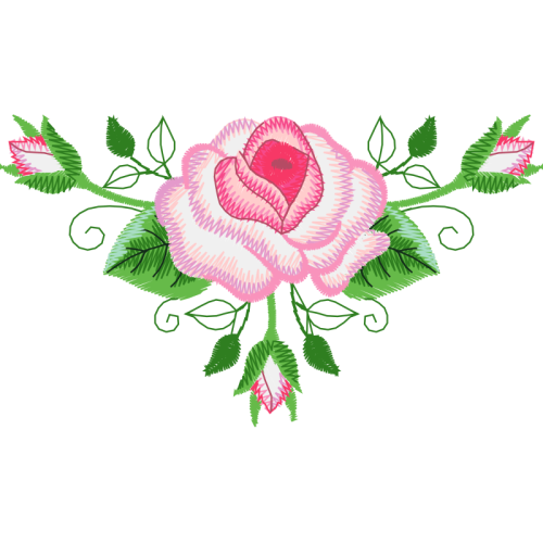 Garden Roses Flowers Garden Roses Flowers