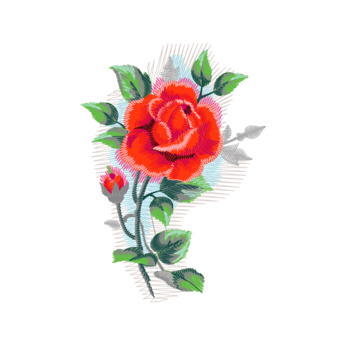 Garden Roses Flowers Garden Roses Flowers