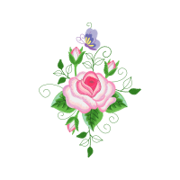 Garden Roses Flowers Garden Roses Flowers