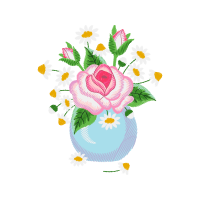 Garden Roses Flowers Garden Roses Flowers