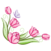 Garden Roses Flowers