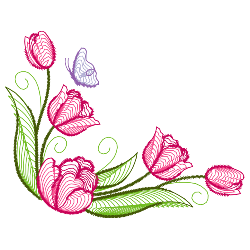 Garden Roses Flowers Garden Roses Flowers