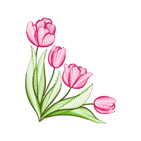 Garden Roses Flowers