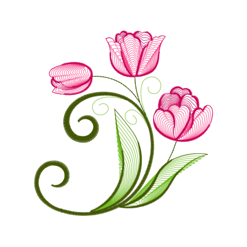 Garden Roses Flowers Garden Roses Flowers