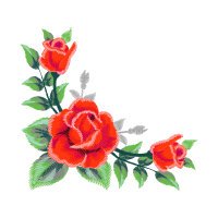 Garden Roses Flowers