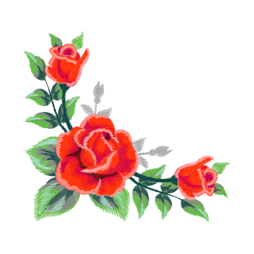 Garden Roses Flowers Garden Roses Flowers