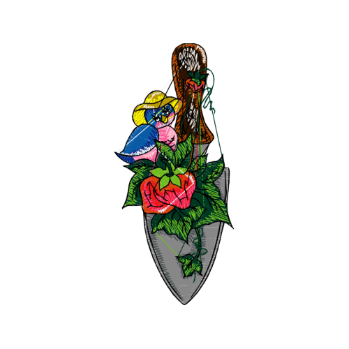 Garden Roses Flowers Garden Roses Flowers