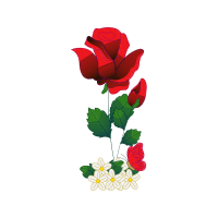 Garden Roses Flowers