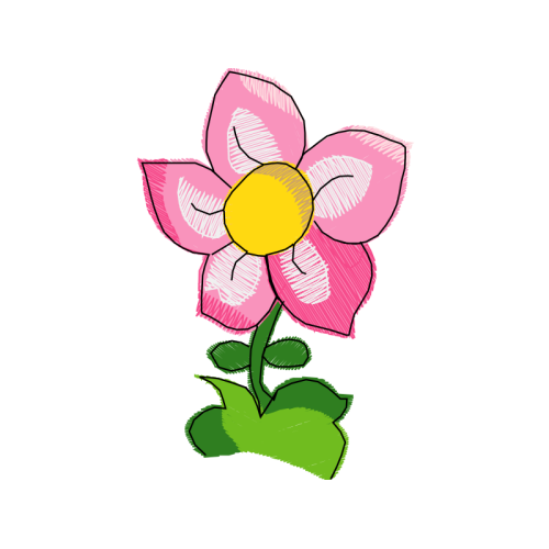 Garden Roses Flowers Garden Roses Flowers