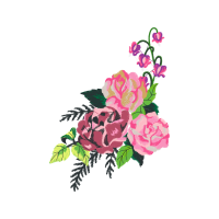 Garden Roses Flowers