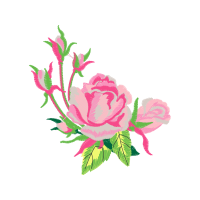 Garden Roses Flowers