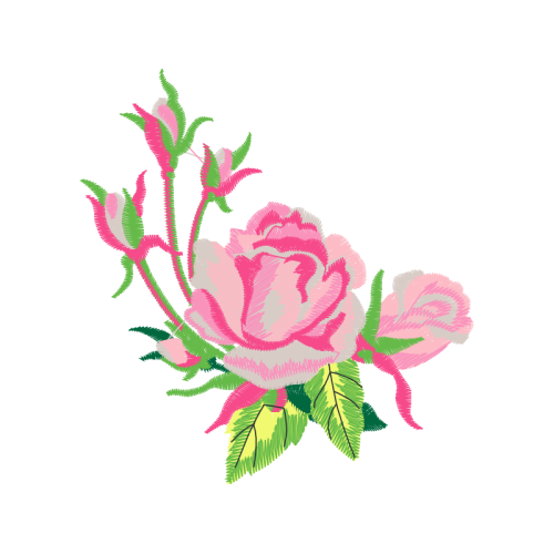 Garden Roses Flowers Garden Roses Flowers