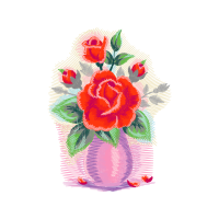 Garden Roses Flowers Garden Roses Flowers