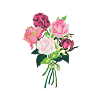 Garden Roses Flowers