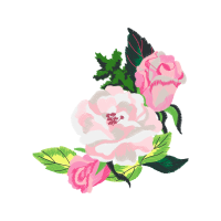 Garden Roses Flowers