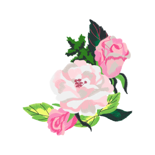 Garden Roses Flowers Garden Roses Flowers