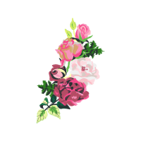 Garden Roses Flowers