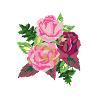 Garden Roses Flowers