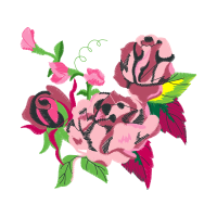 Garden Roses Flowers