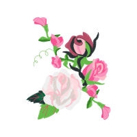 Garden Roses Flowers