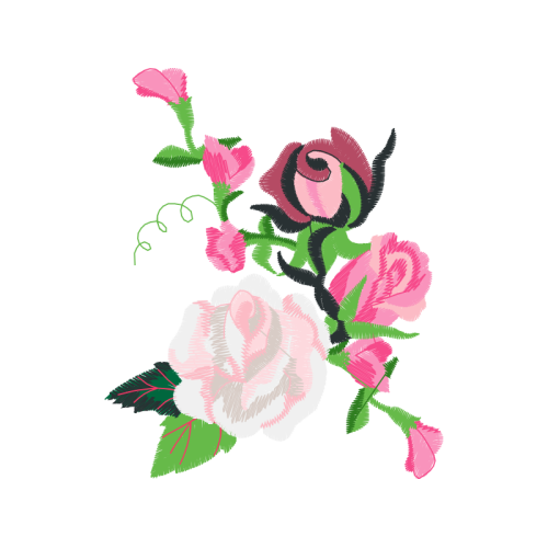 Garden Roses Flowers Garden Roses Flowers