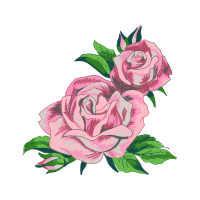 Garden Roses Flowers