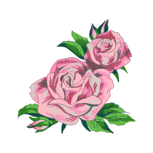 Garden Roses Flowers Garden Roses Flowers