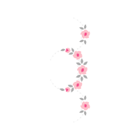 Garden Roses Flowers Garden Roses Flowers