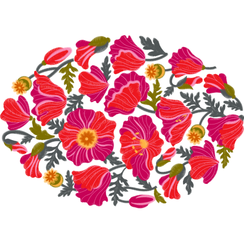 Garden Roses Flowers Garden Roses Flowers