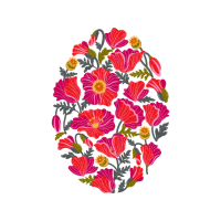 Garden Roses Flowers Garden Roses Flowers