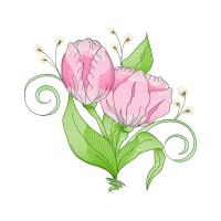 Garden Roses Flowers Garden Roses Flowers