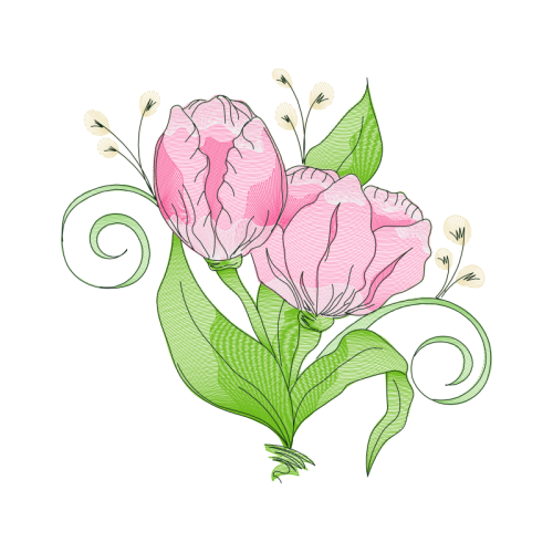 Garden Roses Flowers Garden Roses Flowers