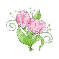 Garden Roses Flowers Garden Roses Flowers