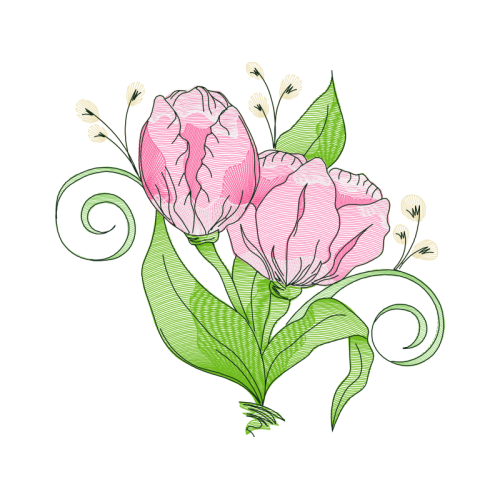 Garden Roses Flowers Garden Roses Flowers