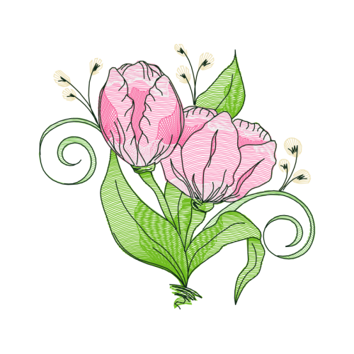 Garden Roses Flowers Garden Roses Flowers