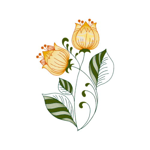 Garden Roses Flowers Garden Roses Flowers